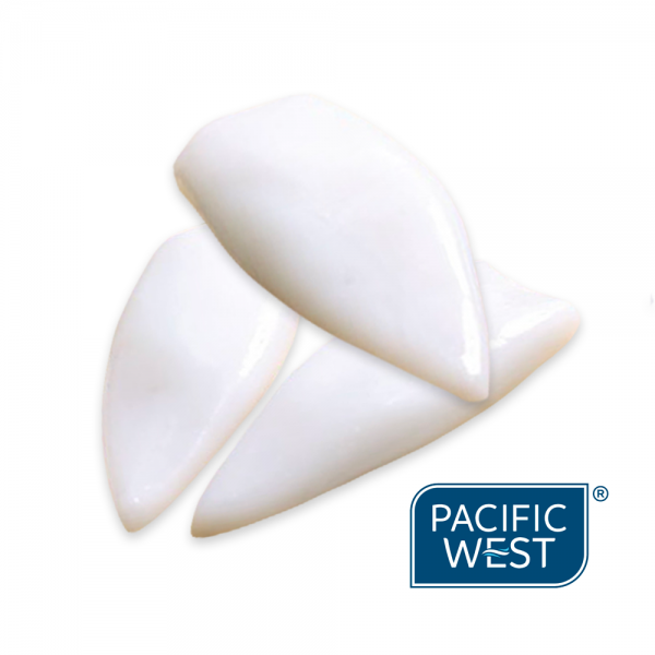 Squid Tubes - Pacific- West (Super Tender) U5 - NQSeafoods.