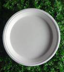 Sugarcane Round Plate 9" 500pc/ctn