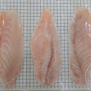 Wild Caught Barramundi Portions 120-140g 5KG CTN